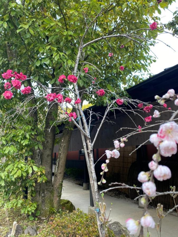 Hotel Yufuin Ryoan Wazanho à Ōita Extérieur photo